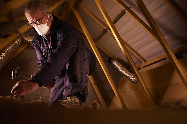 Best Garage Insulation Installation  in Seabrook Island, SC